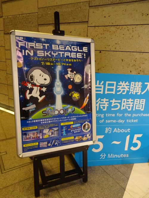 First beagle in skytree